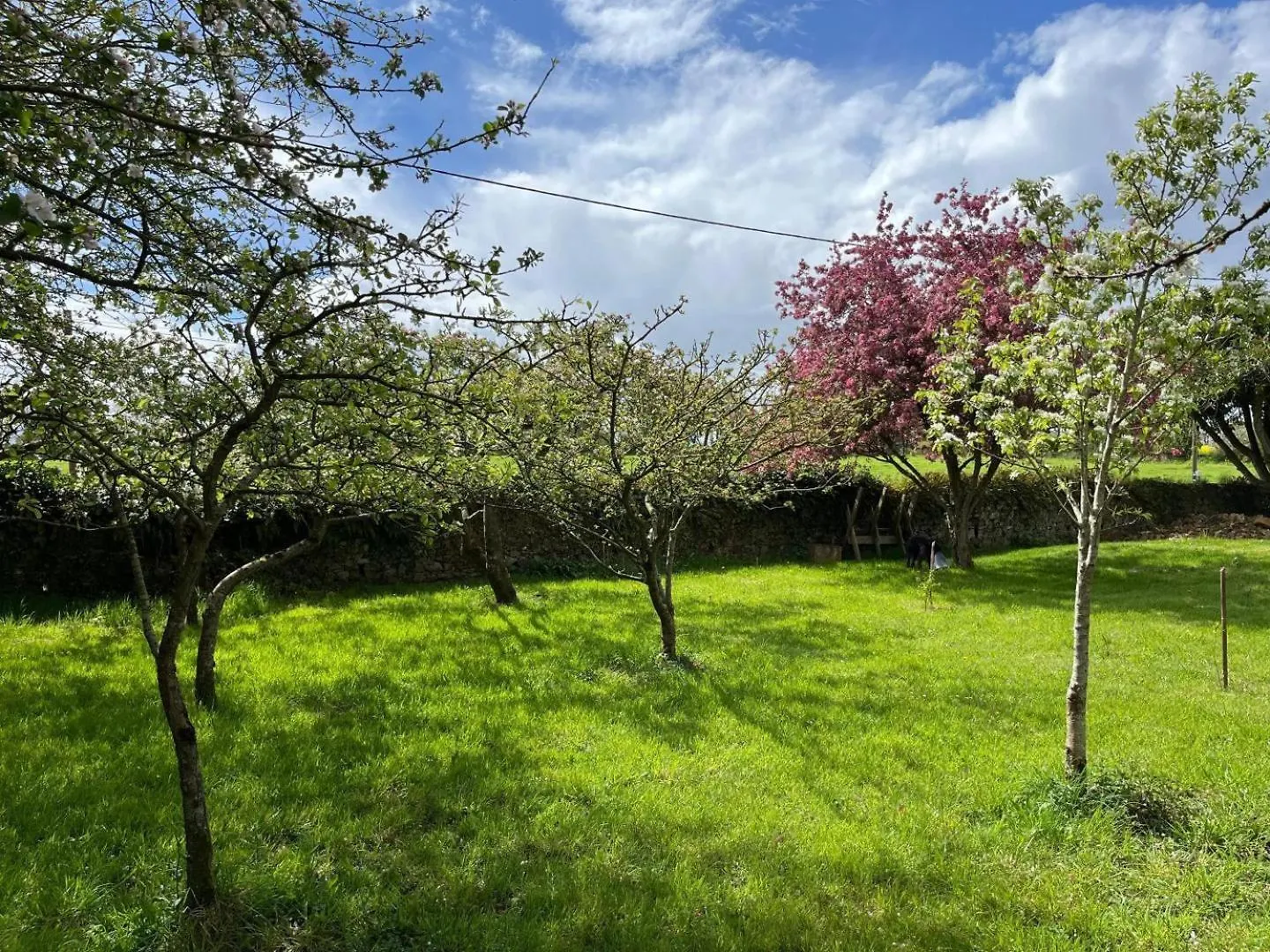 De Rulinen - Cote Verger Saint-Clet Hébergement de vacances